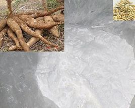 中國木薯淀粉行業(yè)重點(diǎn)企業(yè)分析