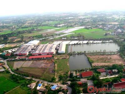 優質中泰羥丙基(醚化交聯)木薯變性淀粉 -中泰淀粉提供優質中泰羥丙基(醚化交聯)木薯變性淀粉 的相關介紹、產品、服務、圖片、價格中泰淀粉、木薯變性淀粉、