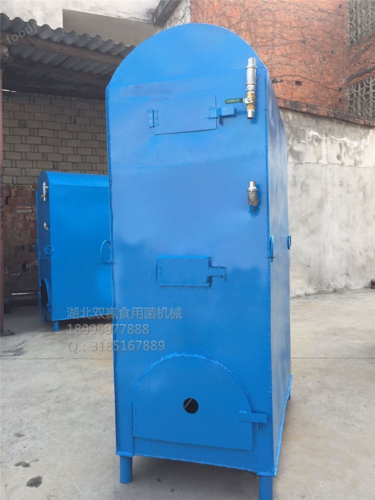 雙出汽口羊肚菌滅菌器的設計與應用優勢