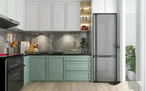 整體櫥柜新風尚 拼色設計與滅菌鍋爐功能的完美融合