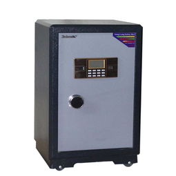 專業(yè)守護(hù)，安全無憂——家寳牌防火防盜保險柜與滅菌鍋爐